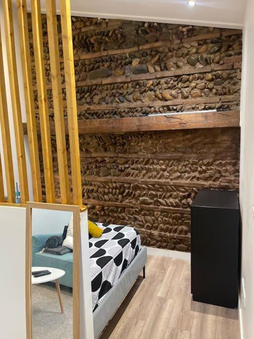 Joli Studio Maisonnette Avec Cachet 圖盧茲 外观 照片